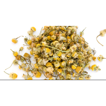 Chất lượng hàng đầu Chrysanthemi Indici Flos